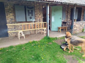 IMG_20180521_114015921